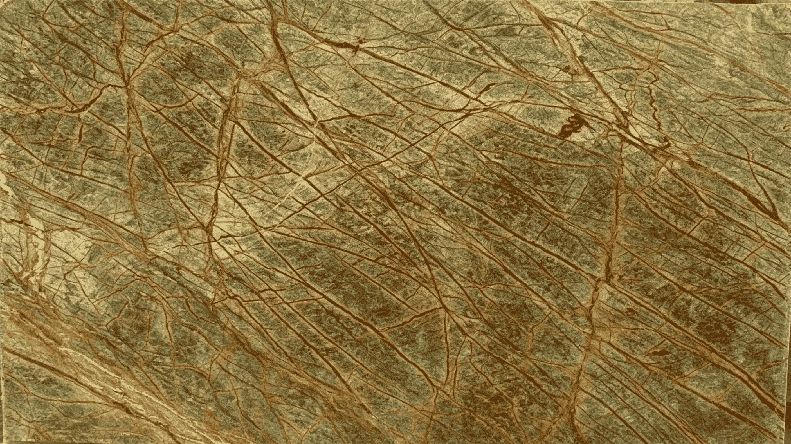 Rainforest Green Marble Big Slabs for Floor Wall Countertop thumbnail 4