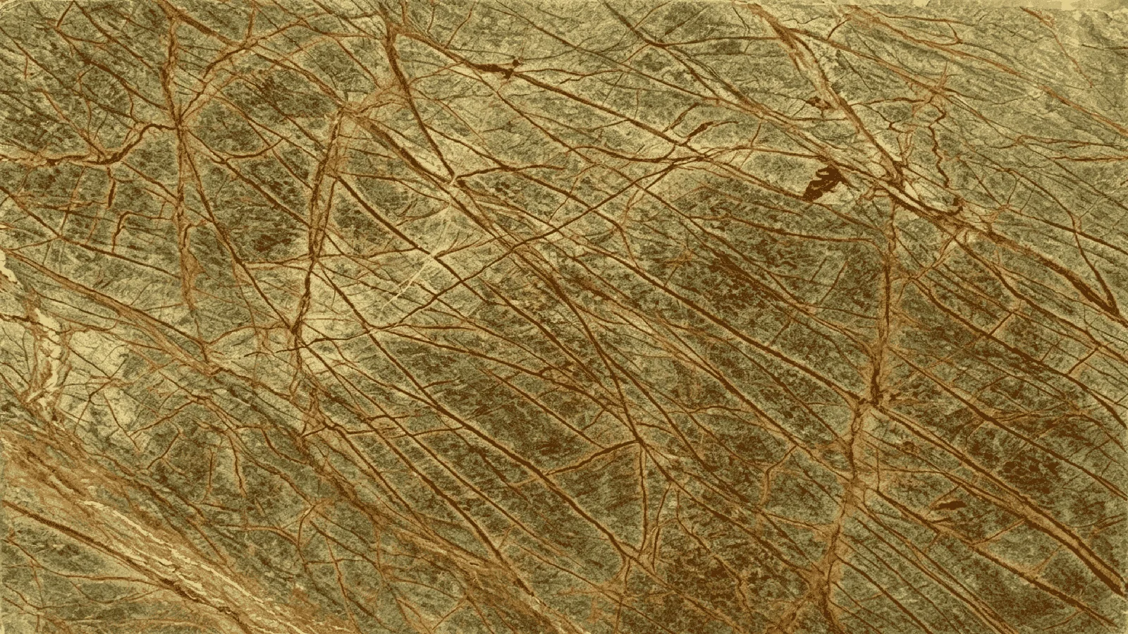 Rainforest Green Marble Big Slabs for Floor Wall Countertop thumbnail 3
