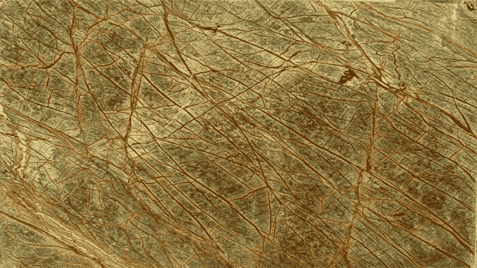 Rainforest Green Marble Big Slabs for Floor Wall Countertop thumbnail 2