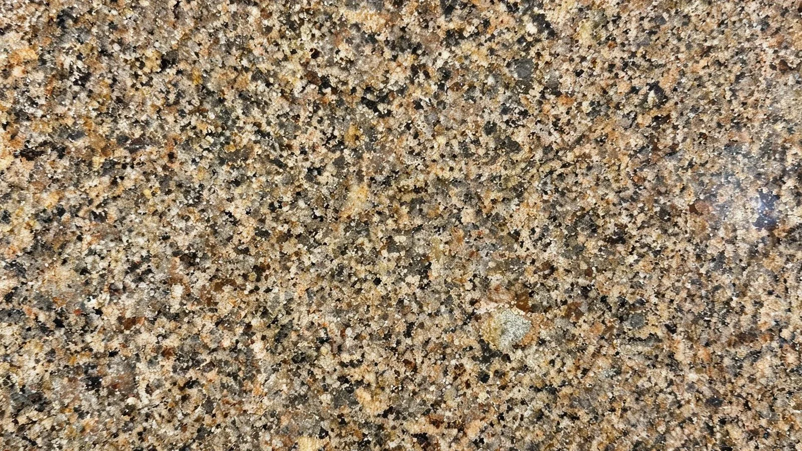 Brown Sahara Granite Tiles for Floor and Wall thumbnail 2
