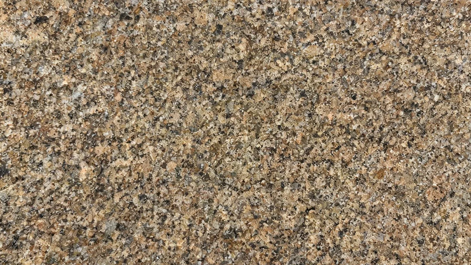 Brown Sahara Granite Tiles for Floor and Wall thumbnail 4