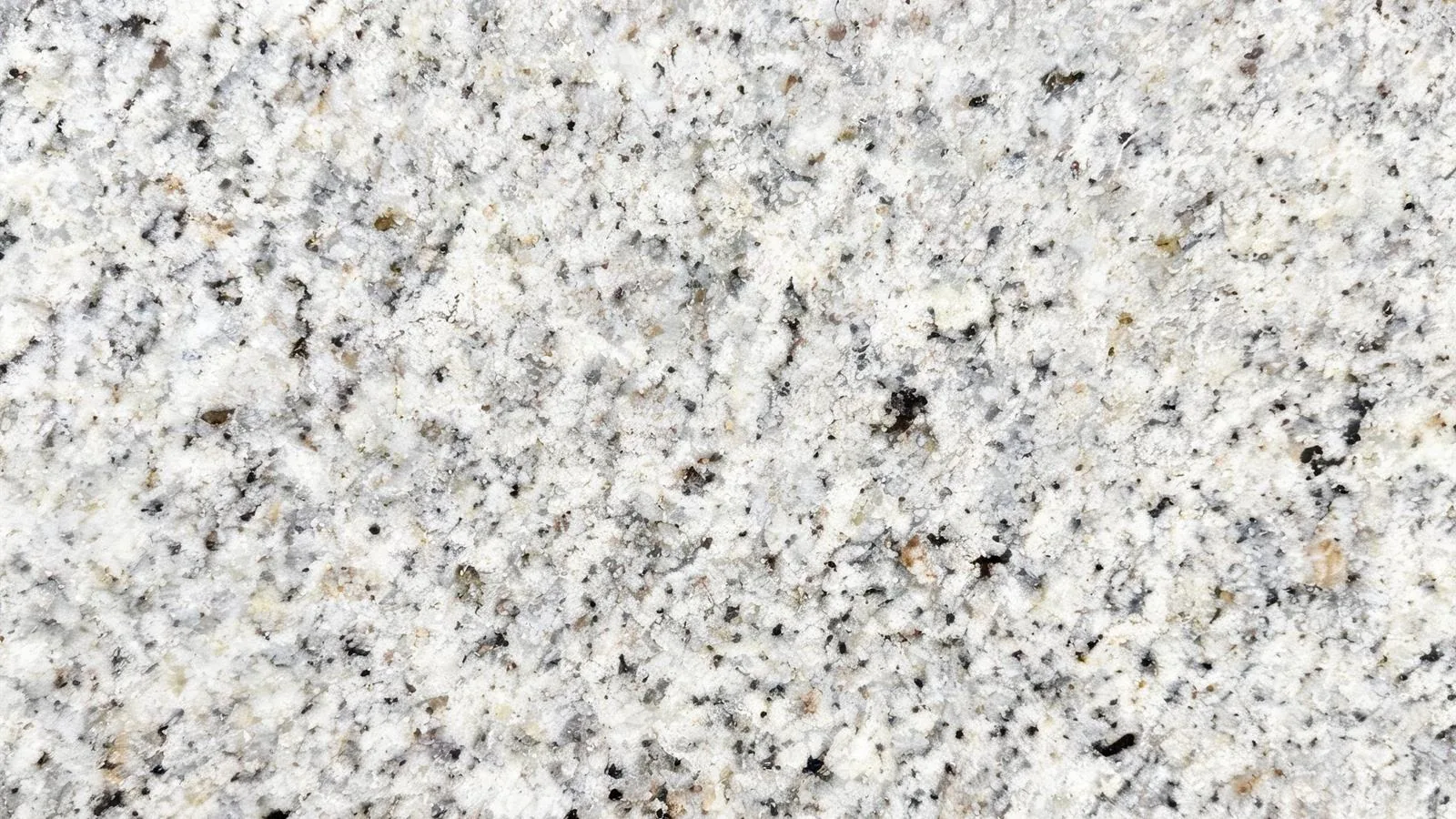 White Dallas Granite Tiles for Floor and Wall thumbnail 2