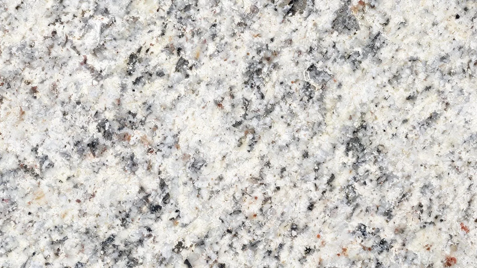 White Dallas Granite Tiles for Floor and Wall thumbnail 3