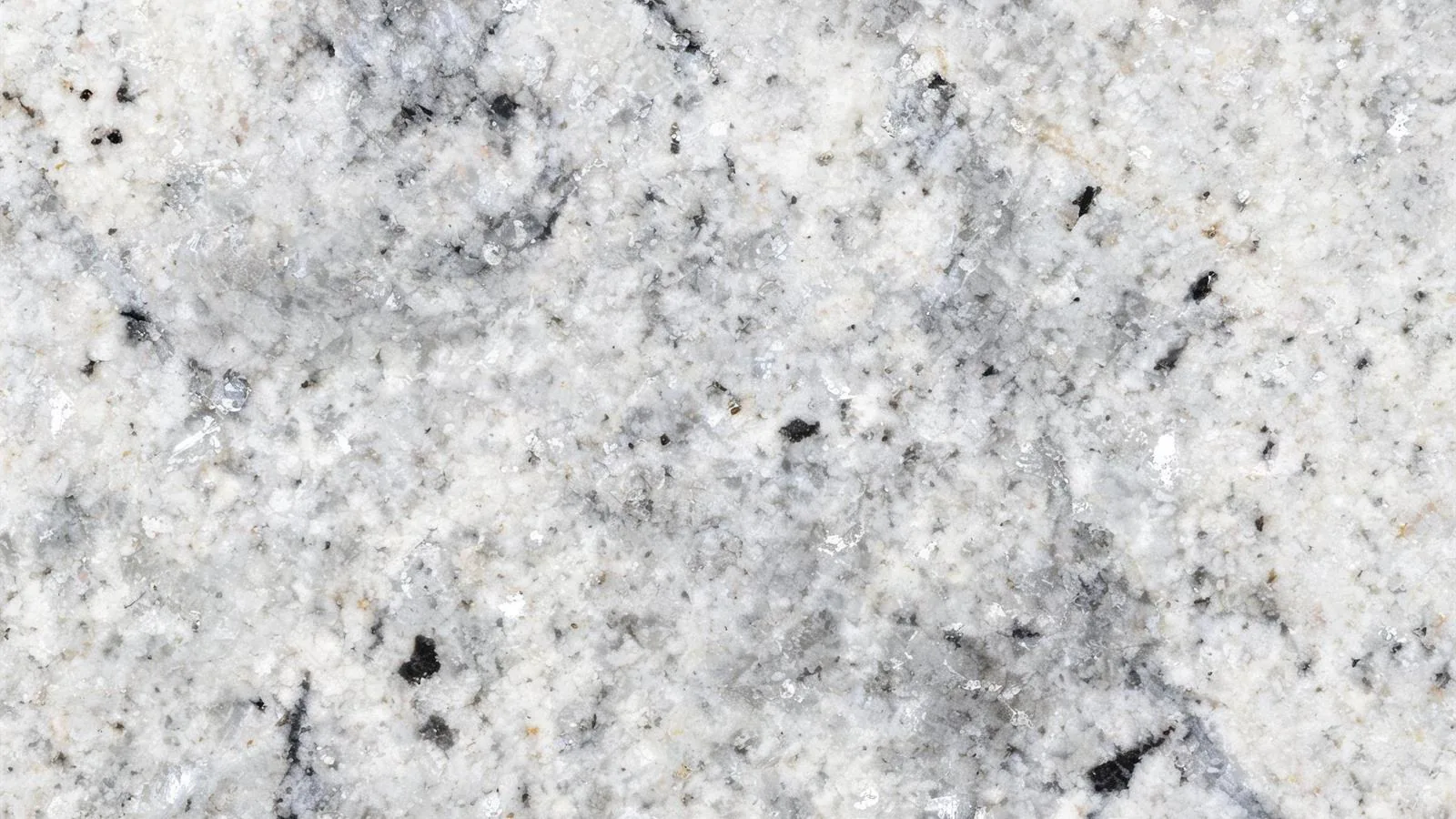 White Labradorite Bianca Granite Tiles for Floor and Wall thumbnail 3