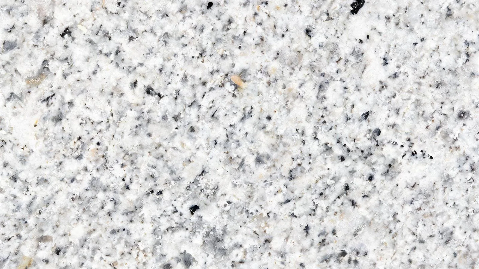 White Halayeb Granite Tiles for Floor and Wall thumbnail 2