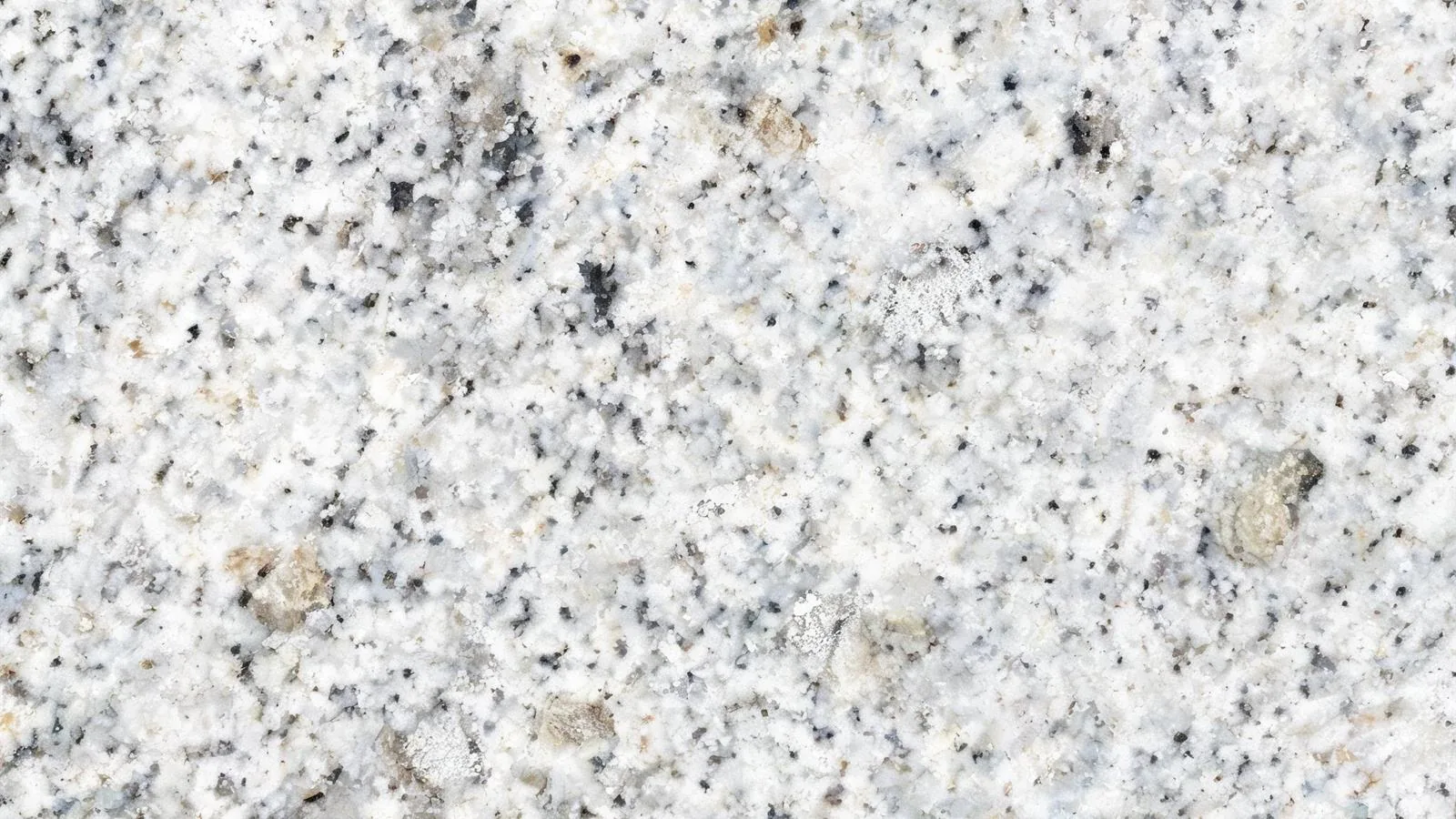 White Halayeb Granite Tiles for Floor and Wall thumbnail 4