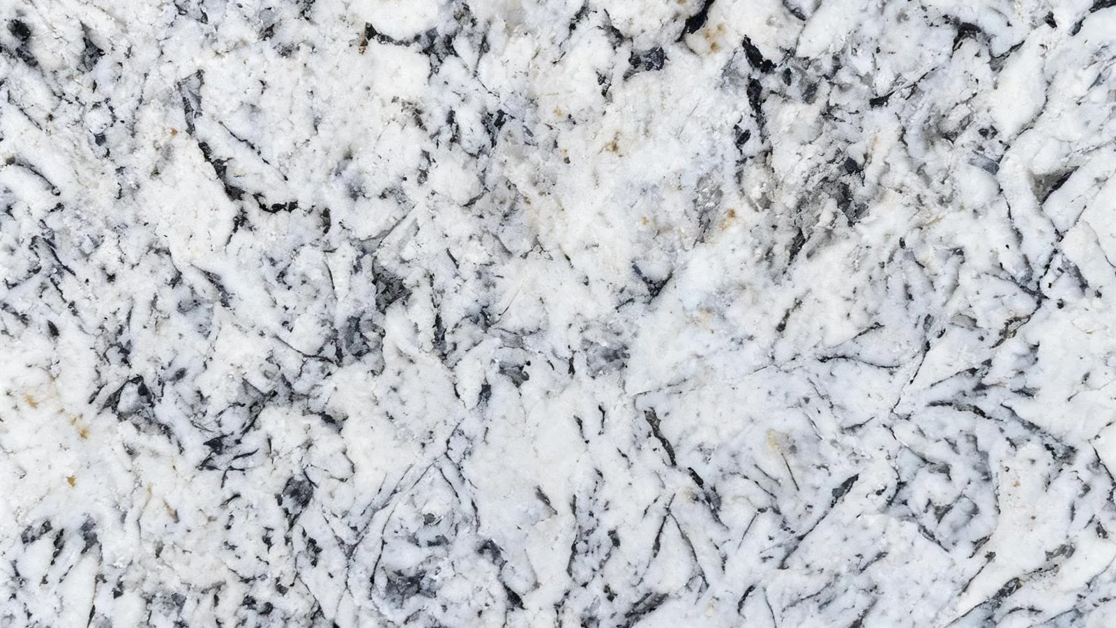 White Alaska Granite Tiles for Floor and Wall thumbnail 3