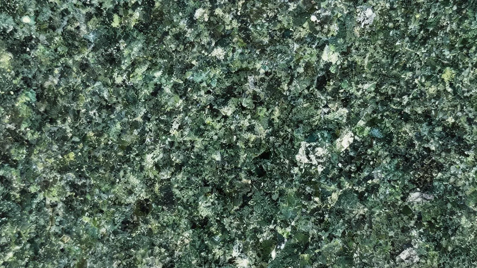 Green Hassan Granite Tiles for Floor and Wall thumbnail 4