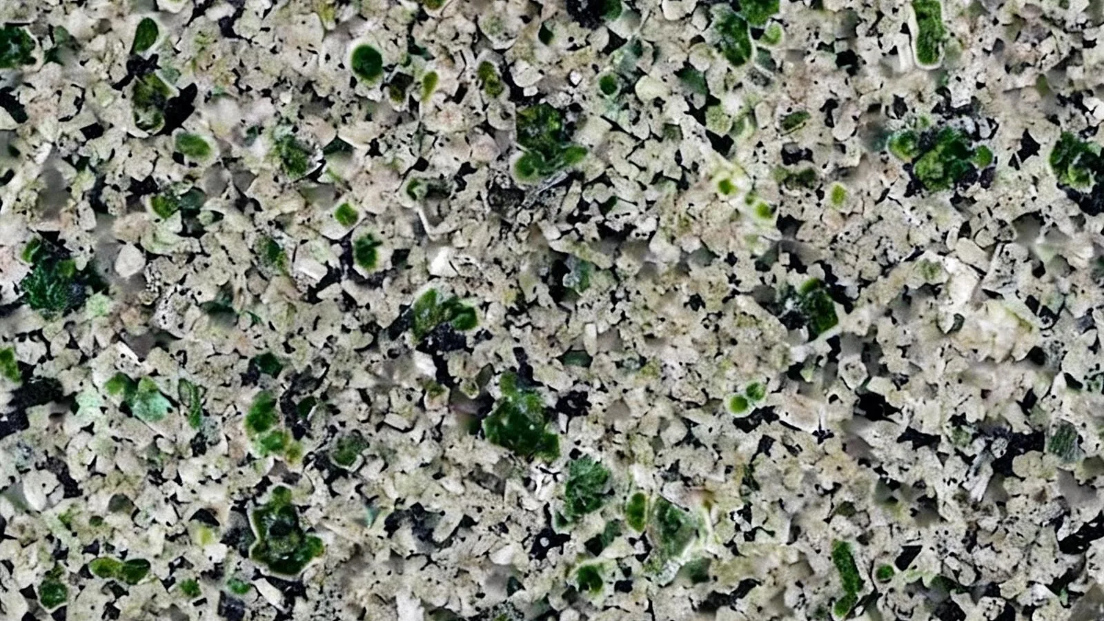 Green Verdy Ghazal Granite Tiles for Floor and Wall thumbnail 2