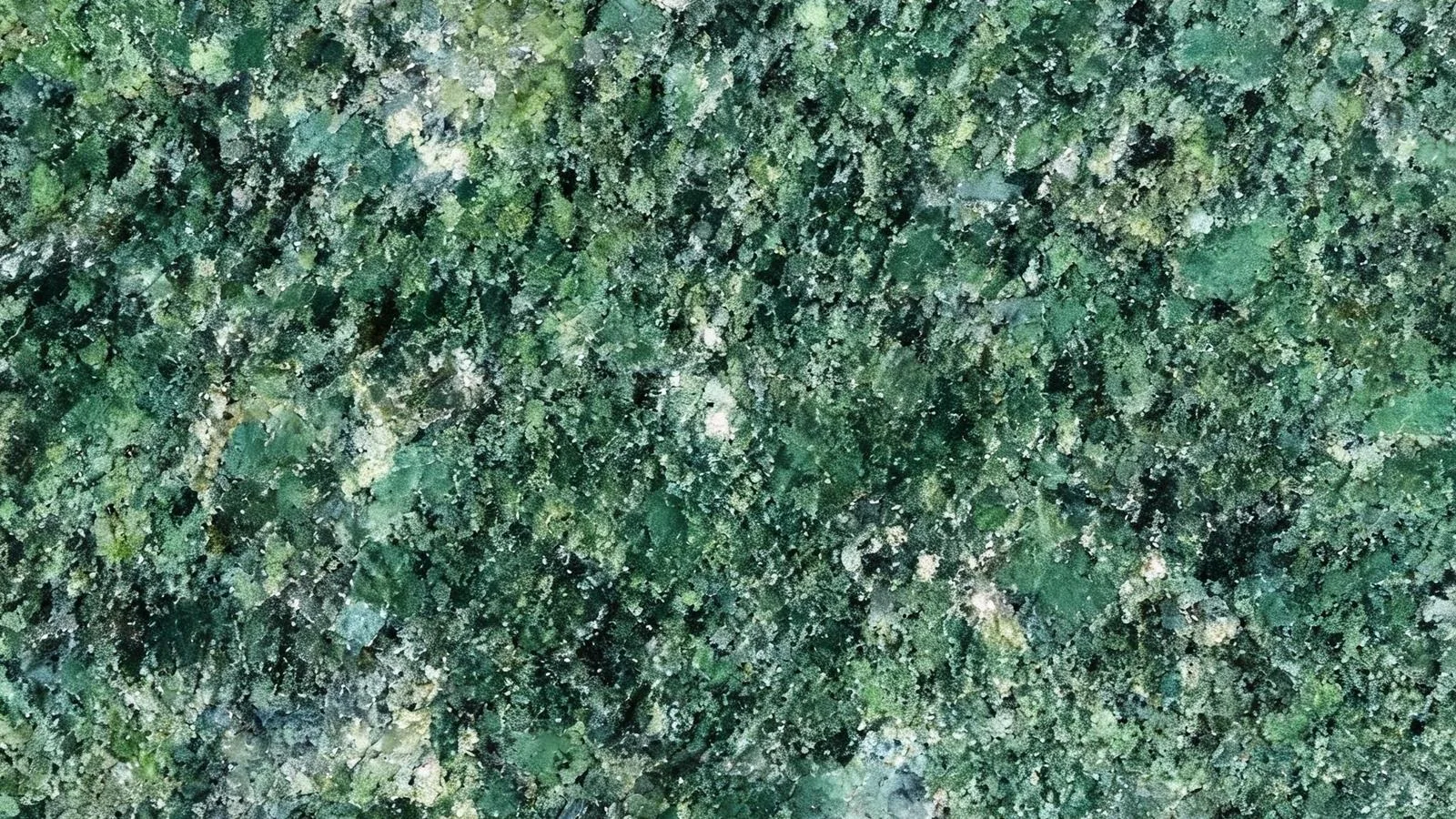 Green Amazon Granite Tiles for Floor and Wall thumbnail 2