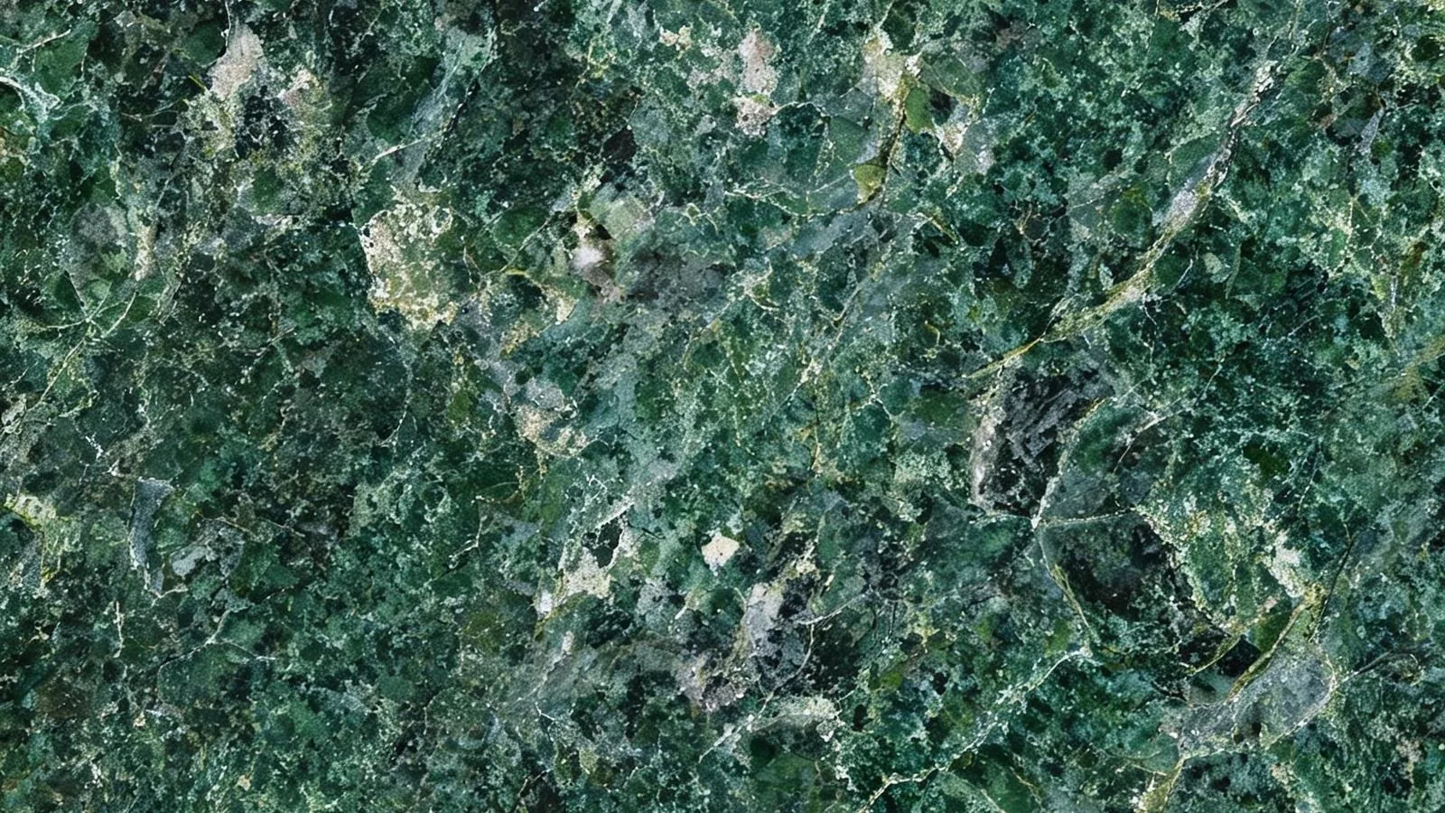 Green Verde Butterfly Granite Tiles for Floor and Wall thumbnail 3