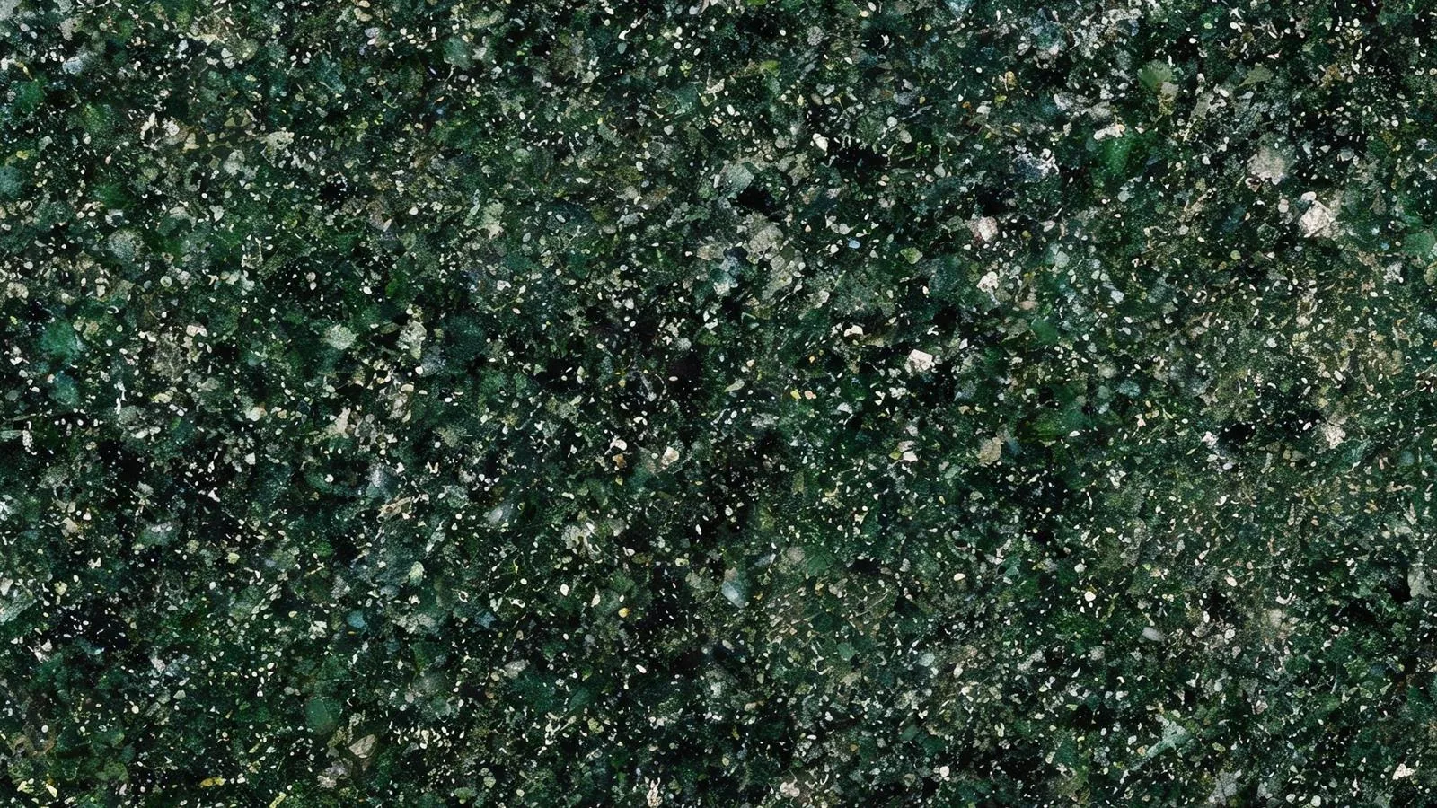 Green Verde Butterfly Polished Granite Tiles for Floor and Wall thumbnail 4