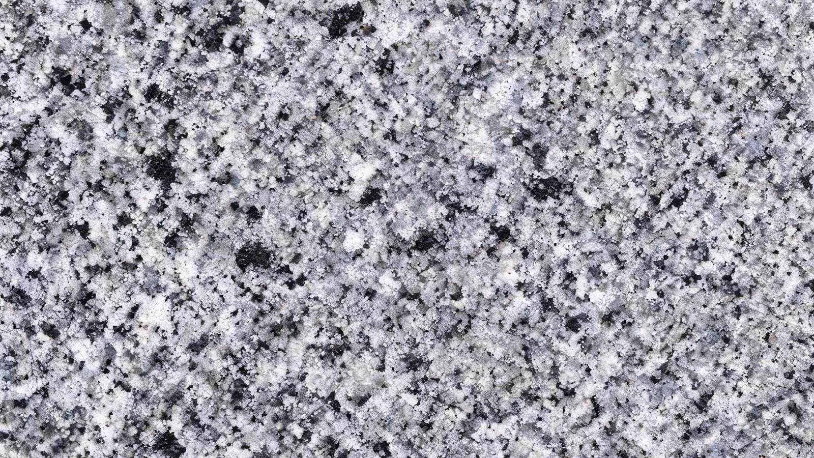 Grey Halayeb Granite Tiles for Floor and Wall thumbnail 2