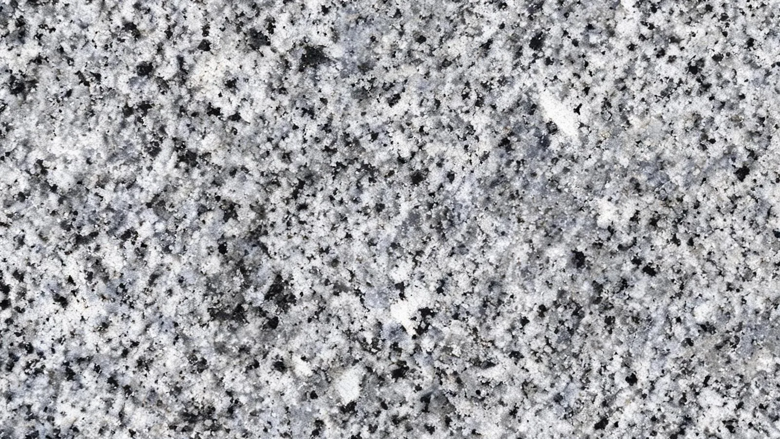 Grey Halayeb Granite Tiles for Floor and Wall thumbnail 3