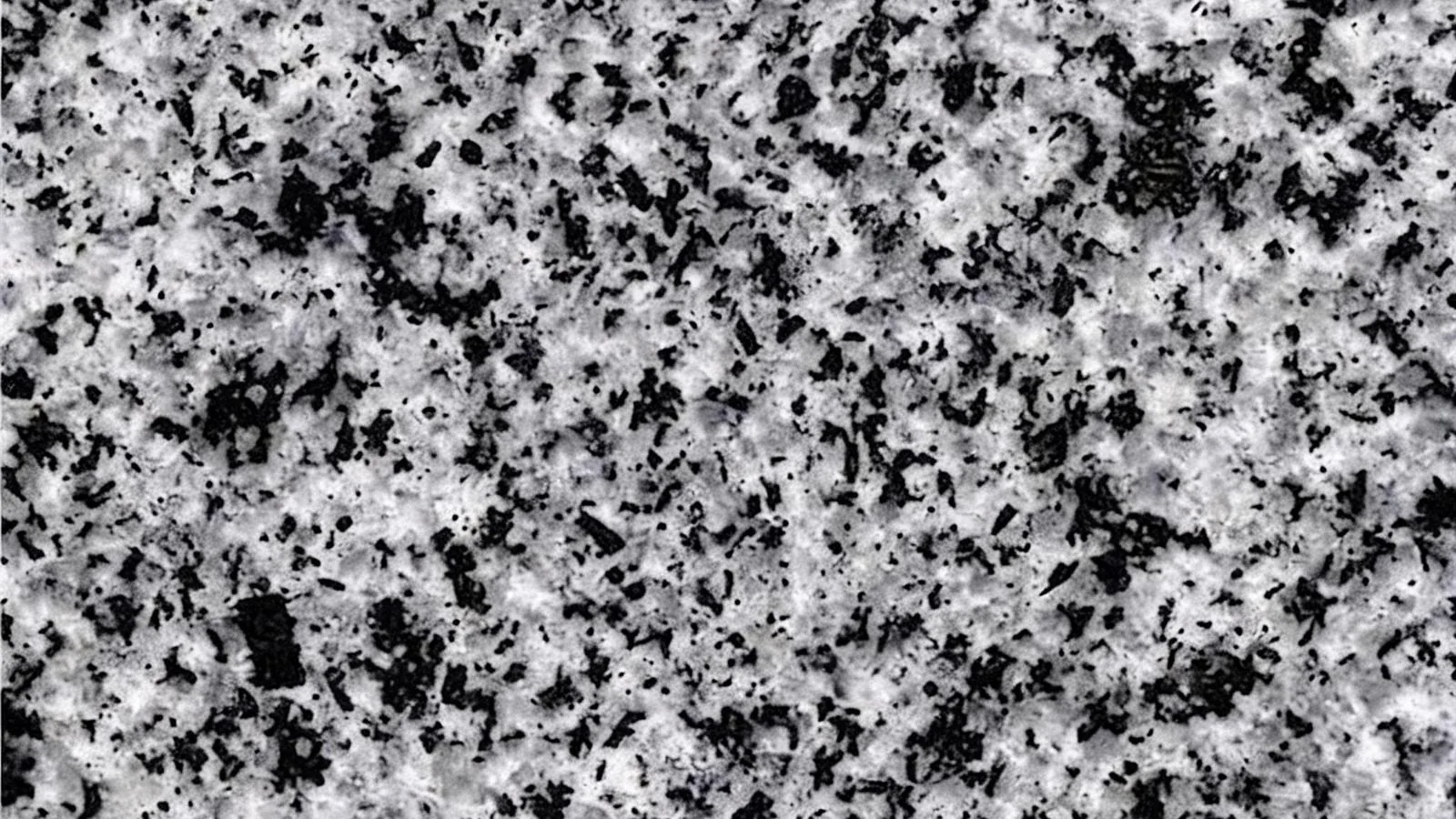 Grey Halayeb Granite Tiles for Floor and Wall thumbnail 4