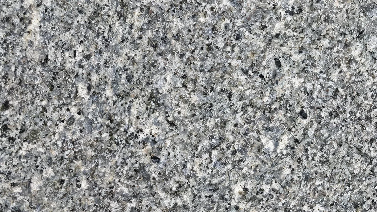 Grey New G654 Granite Tiles for Floor and Wall thumbnail 3