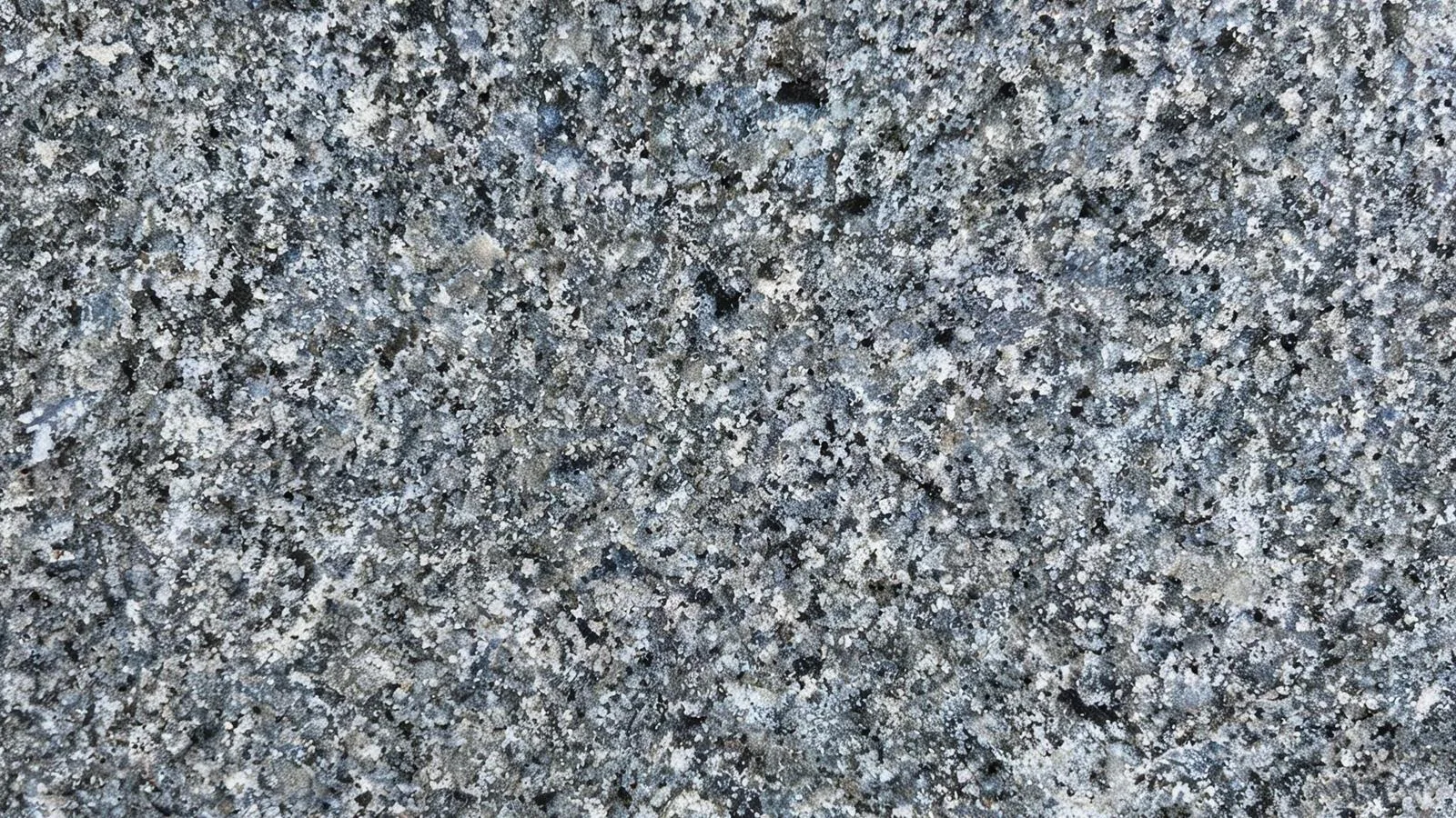 Grey New G654 Granite Tiles for Floor and Wall thumbnail 4