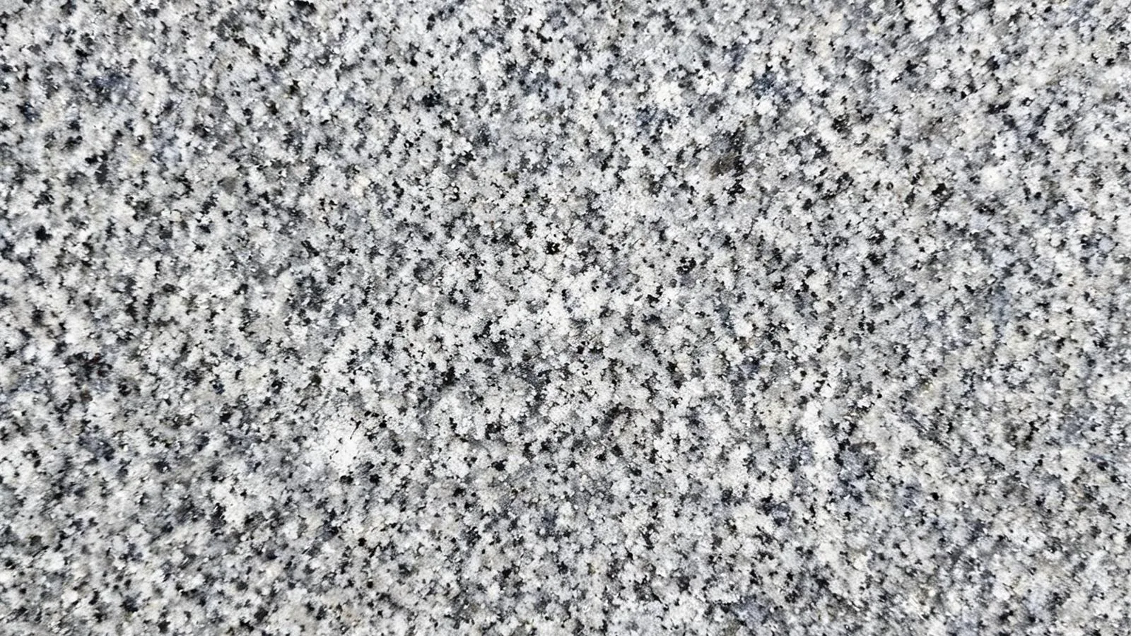 Grey Koksaroy Granite Tiles for Floor and Wall thumbnail 3