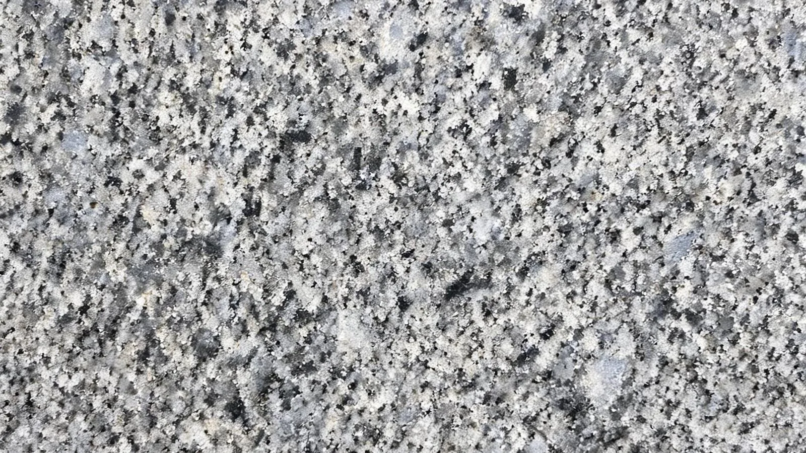 Grey Koksaroy Granite Tiles for Floor and Wall thumbnail 4
