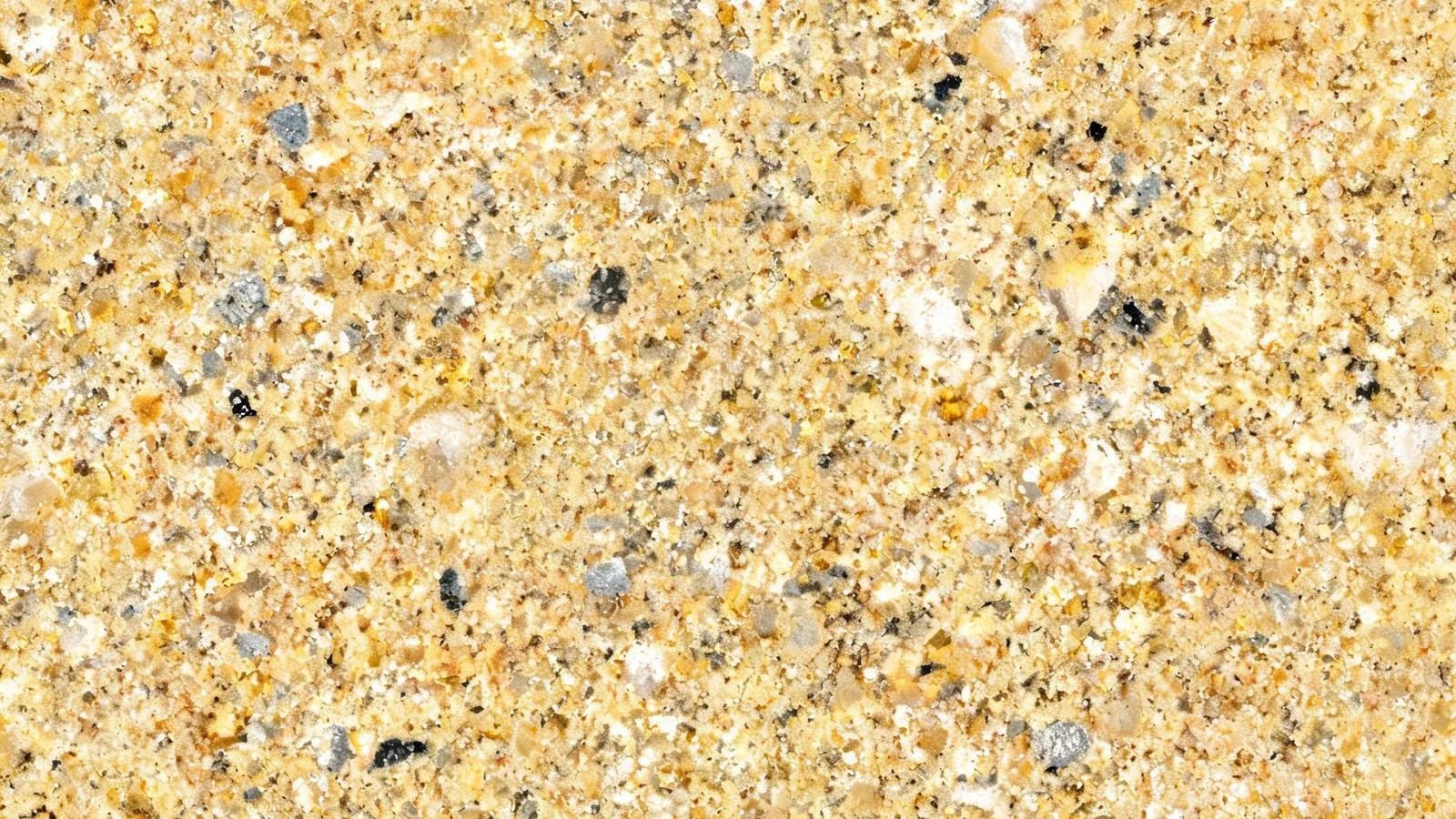 G682 Yellow Granite Tiles for Floor and Wall thumbnail 2