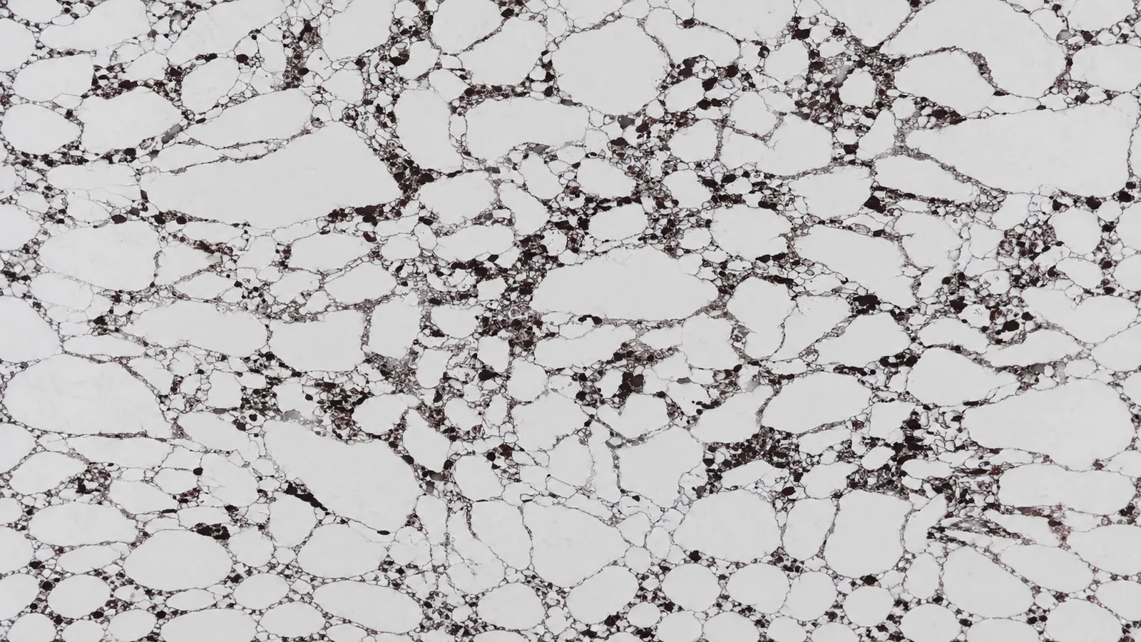 LX7701 White Burgundy Breccia Engineered Quartz Stone Slab thumbnail 2
