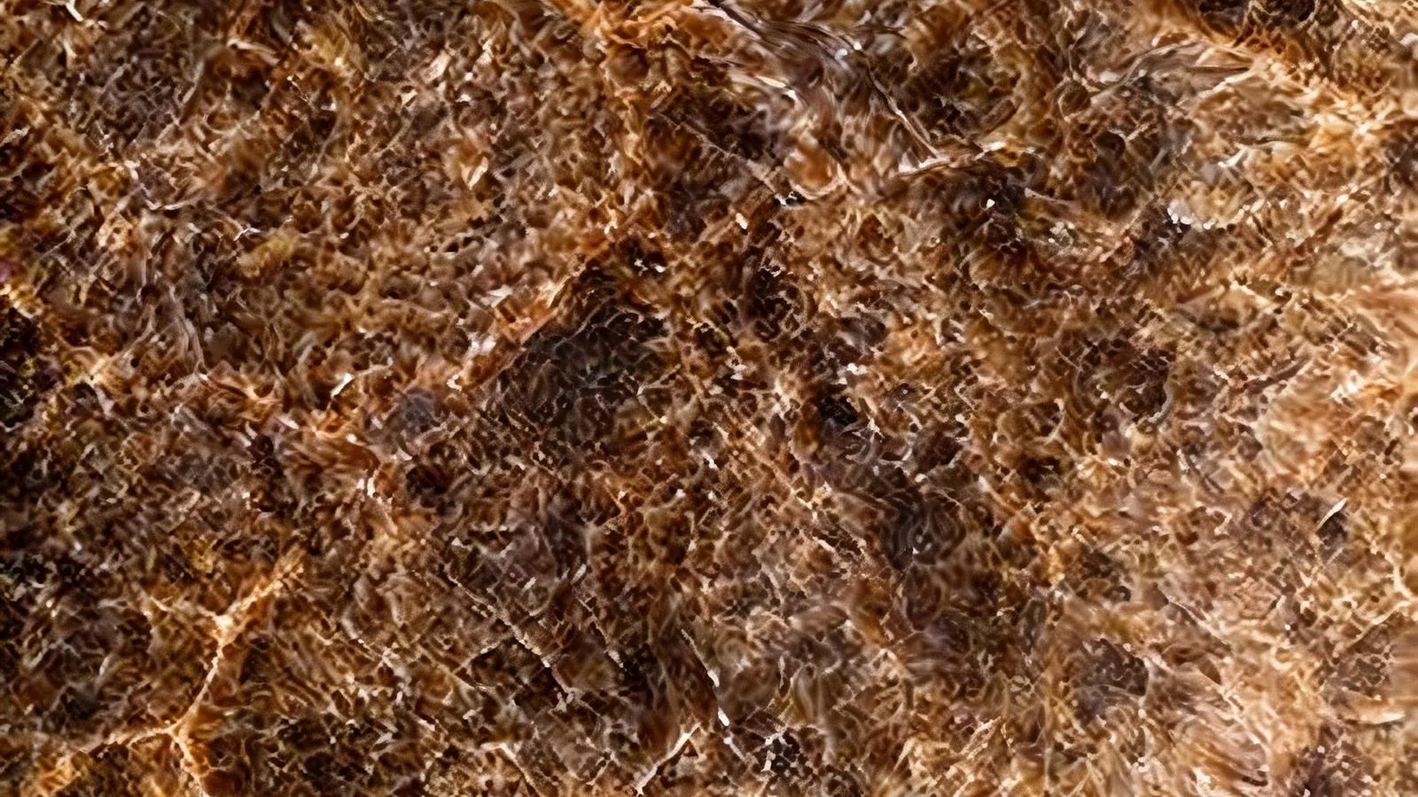 Ice Sugar Onyx Slabs for Interior Projects thumbnail 3