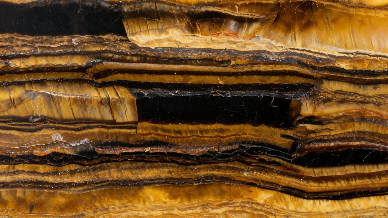 Tiger Eye Gold Slabs for Luxury Interiors