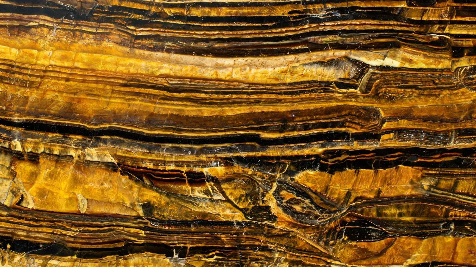 Tiger Eye Gold Slabs for Luxury Interiors thumbnail 2