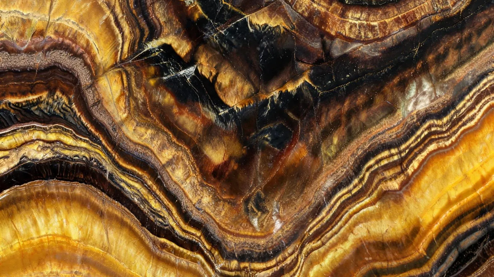 Tiger Eye Gold Slabs for Luxury Interiors