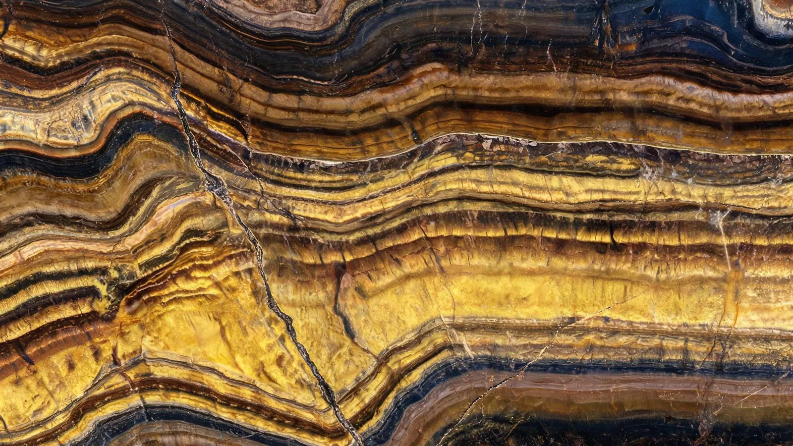 Tiger Eye Gold Slabs for Luxury Interiors thumbnail 4