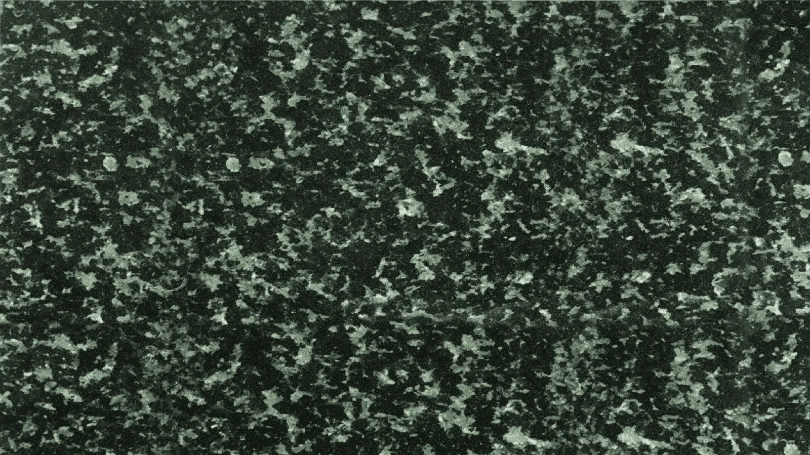 Green Hassan Granite Slabs for Floor and Wall
